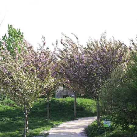Safaritent Wood Xl Met Tuinzicht * Nieuwe Wetering