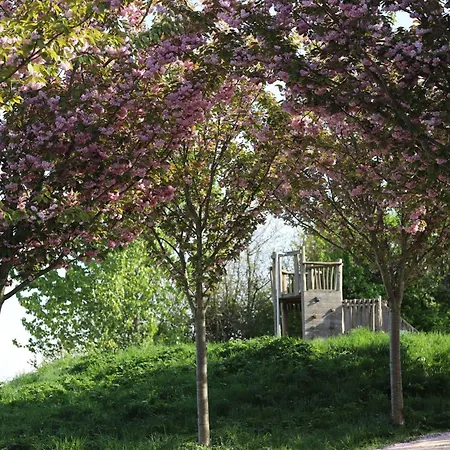 Safaritent Wood Xl Met Tuinzicht Luxury tent Nieuwe Wetering