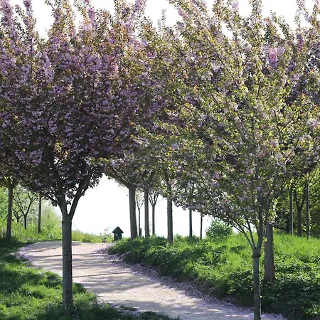 Safaritent Wood Xl Met Tuinzicht *