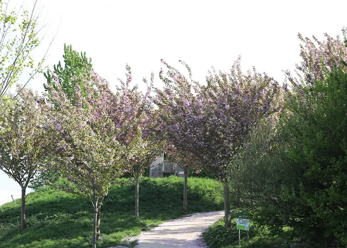 Safari Xl * Nieuwe Wetering