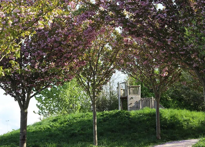 Safari Xl 豪华帐篷 Nieuwe Wetering